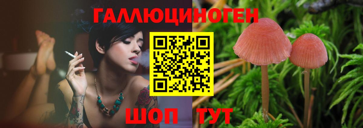 Псилоцибиновые грибы MAGIC MUSHROOMS  Галлюциногенные грибы Psilocybine cubensis  Красногорск  Вход с VPN 