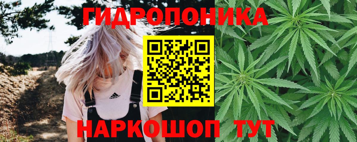 Каннабис White Widow Красногорск
